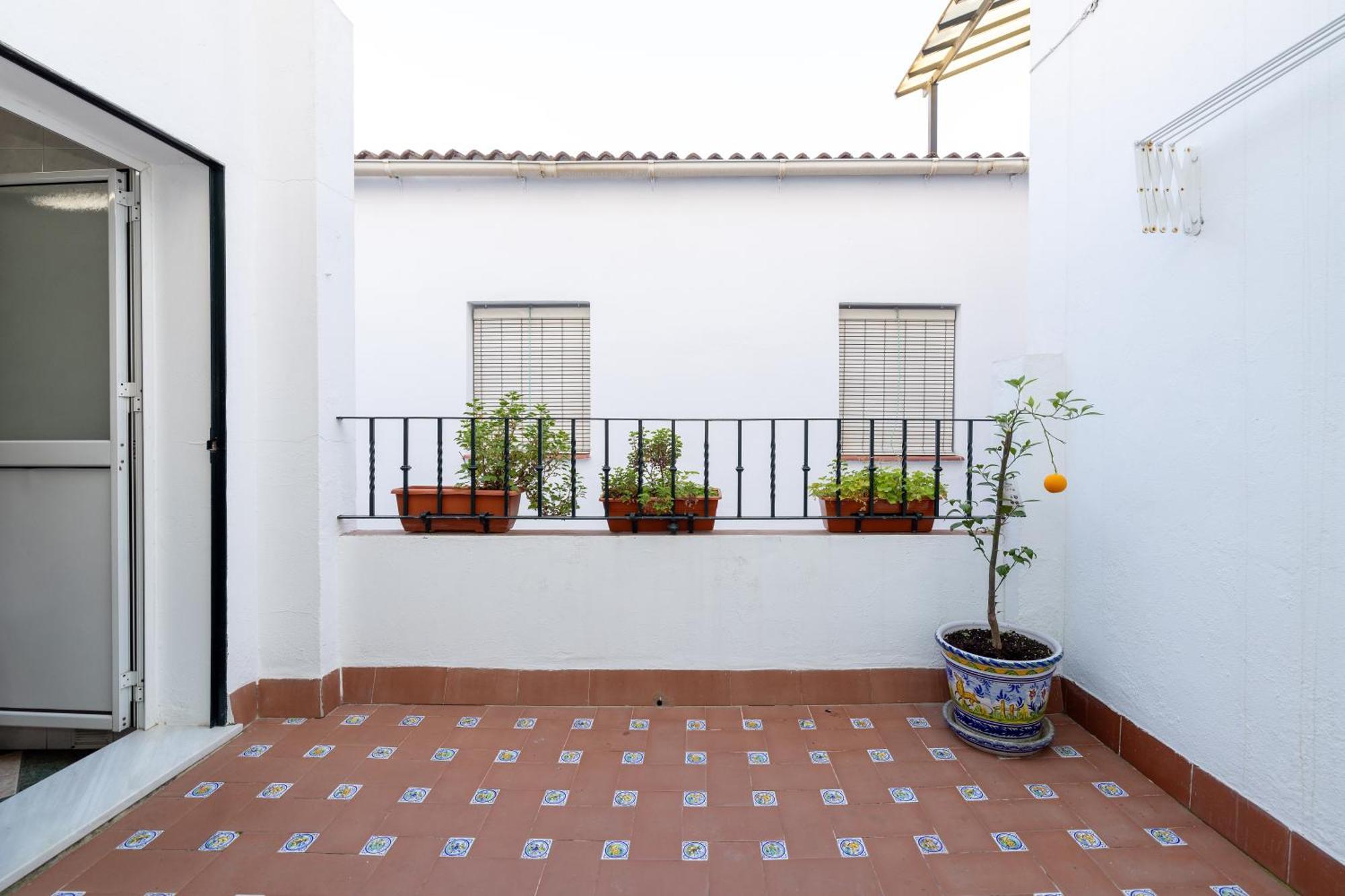Apartamentos Trianasol إشبيلية المظهر الخارجي الصورة