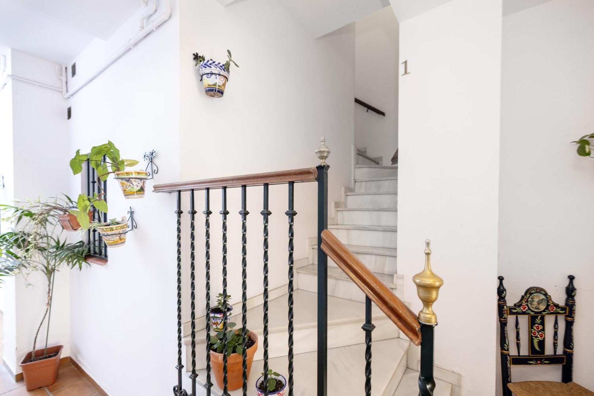 Apartamentos Trianasol إشبيلية المظهر الخارجي الصورة