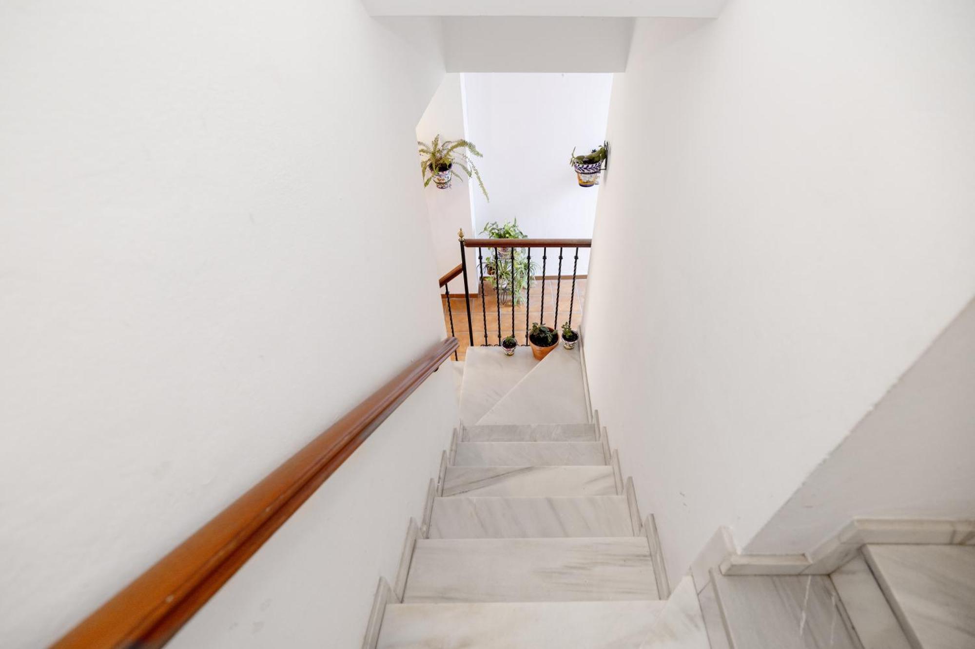 Apartamentos Trianasol إشبيلية المظهر الخارجي الصورة