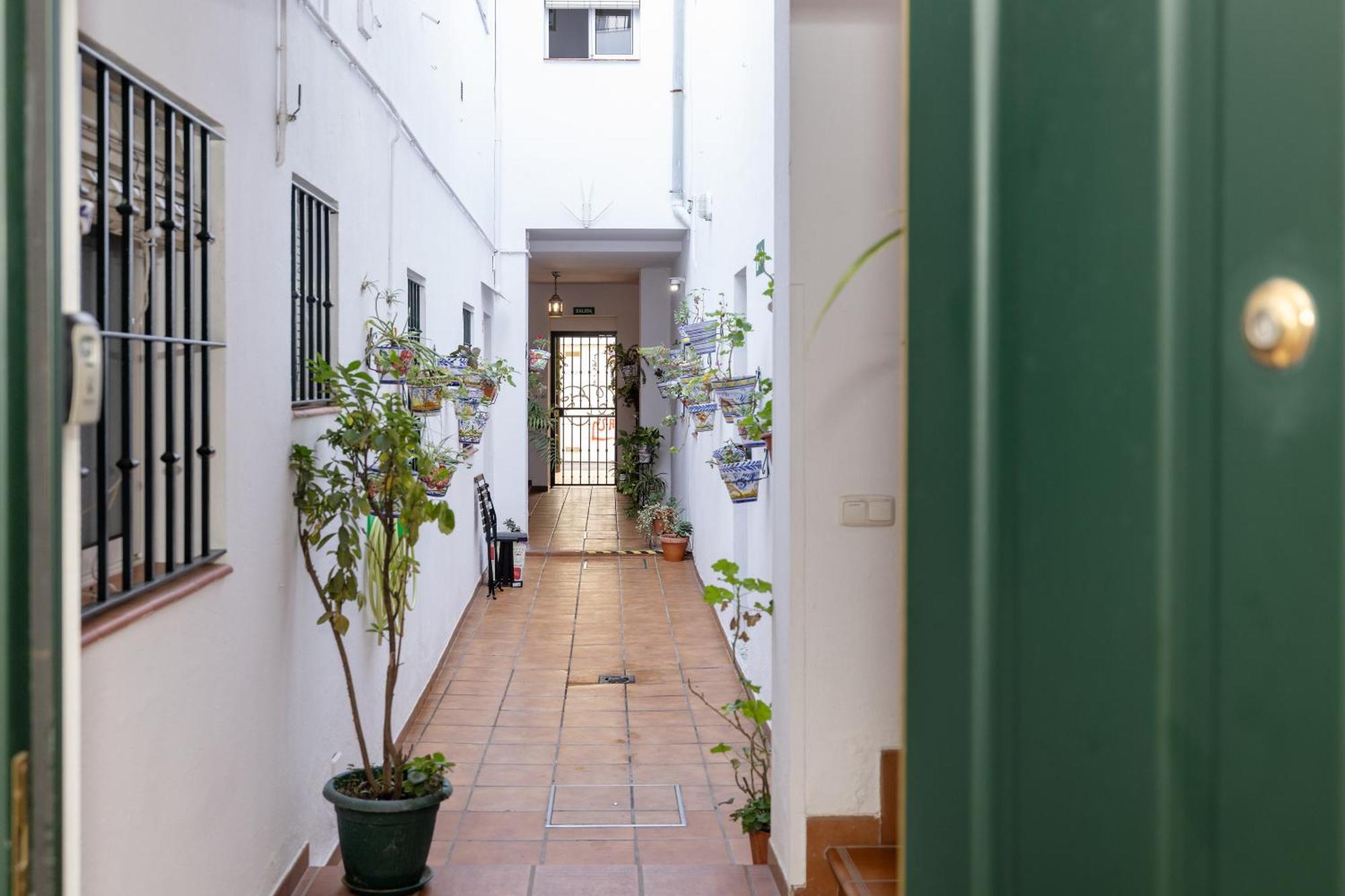 Apartamentos Trianasol إشبيلية المظهر الخارجي الصورة