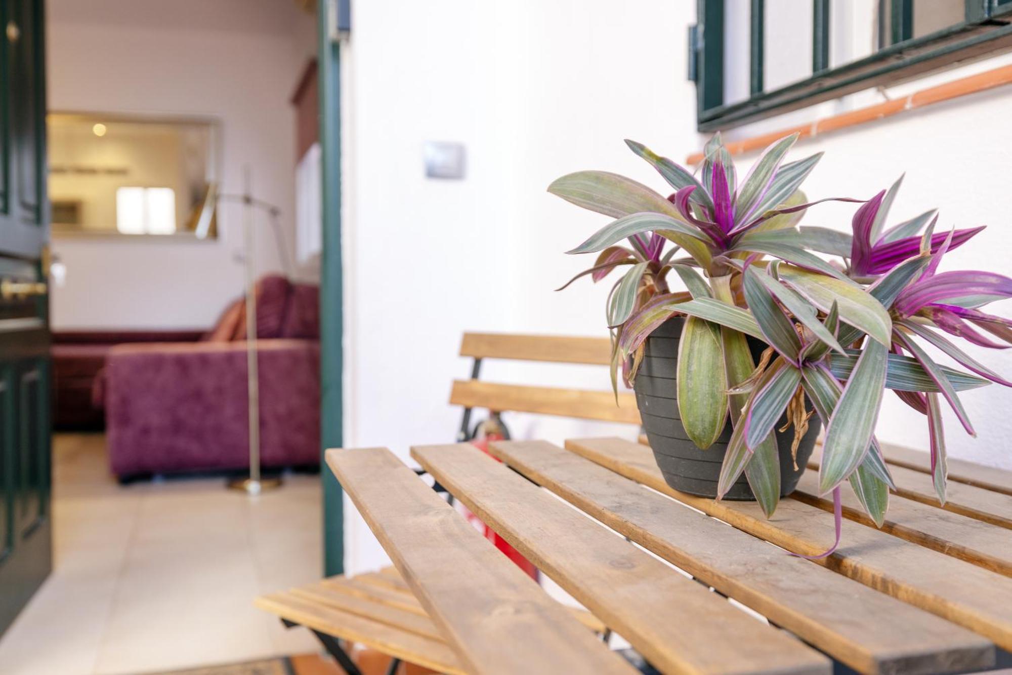 Apartamentos Trianasol إشبيلية المظهر الخارجي الصورة